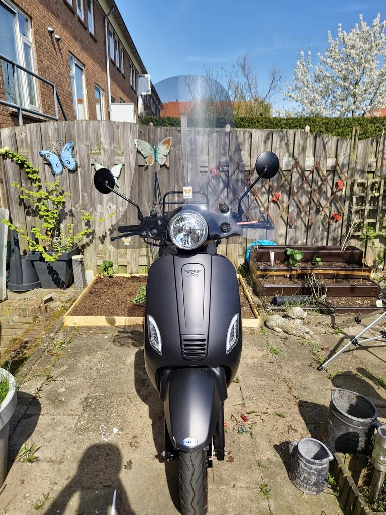 Djjd Cashmere 2019, Zo goed als nieuw, Benzine, Ophalen, Overige merken