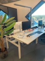 2x 2 geschakelde bureau's, Ophalen, In hoogte verstelbaar, Gebruikt, Bureau