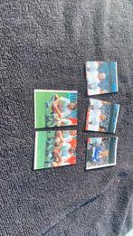 Panini voetbal 91 nederlands elftal, Ophalen of Verzenden, Zo goed als nieuw, Overige binnenlandse clubs, Poster, Plaatje of Sticker