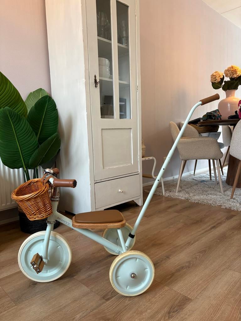 Banwood Trike Driewieler Pale Mint, Fietsen en Brommers, Ophalen, Zo goed als nieuw, Duwstang