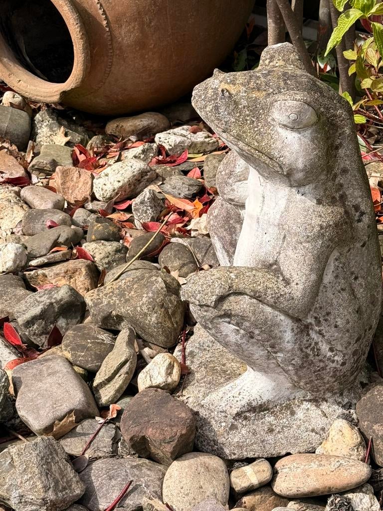 Gratis af te halen: Tuinbeeld kikker (sierbeeld), Ophalen, Zo goed als nieuw, Steen