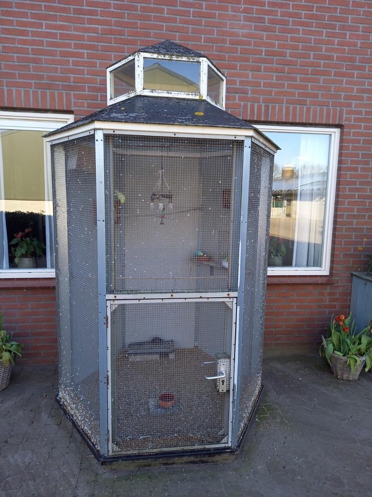 Buitenvolliere met grasparkieten, Dieren en Toebehoren, Vogels | Parkieten en Papegaaien