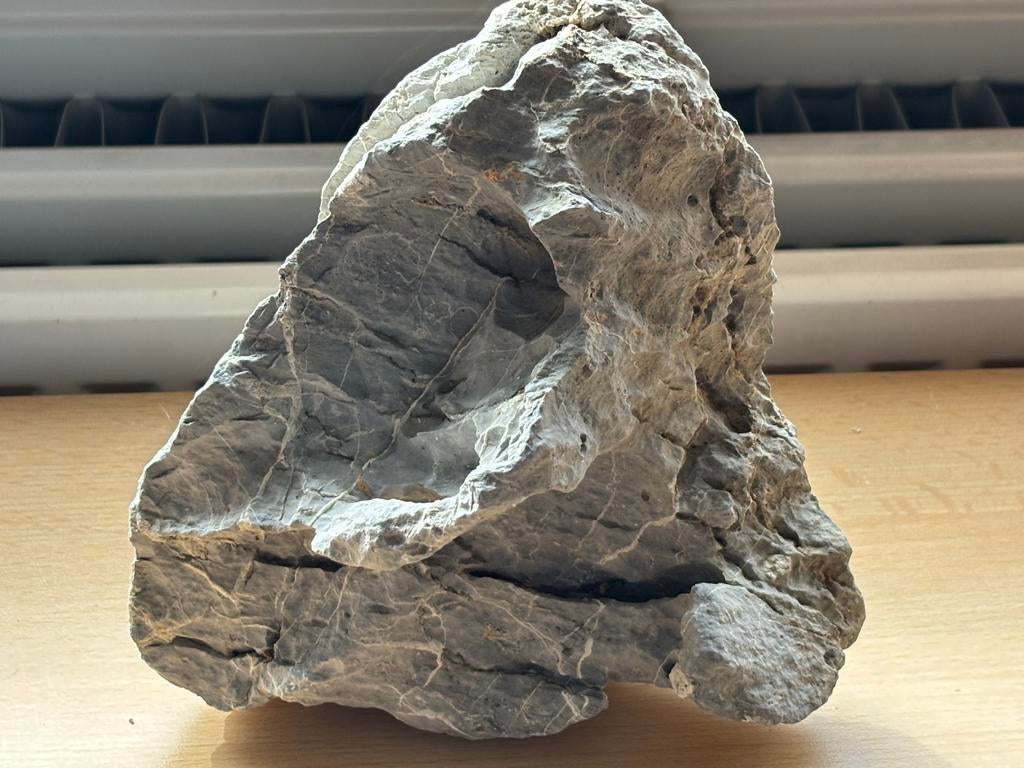 Landscape stone voor in aquaium, Ophalen of Verzenden, Gebruikt, Decoratie