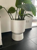 2x Witte Bloempot Karwei - Modern Design, Rond, Binnen, Zo goed als nieuw, Minder dan 40 cm