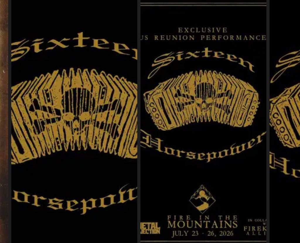 Gezocht: concertkaartje (1 of 2) voor Sixteen Horsepower, Tickets en Kaartjes, Eén persoon, Mei, Hard Rock of Metal