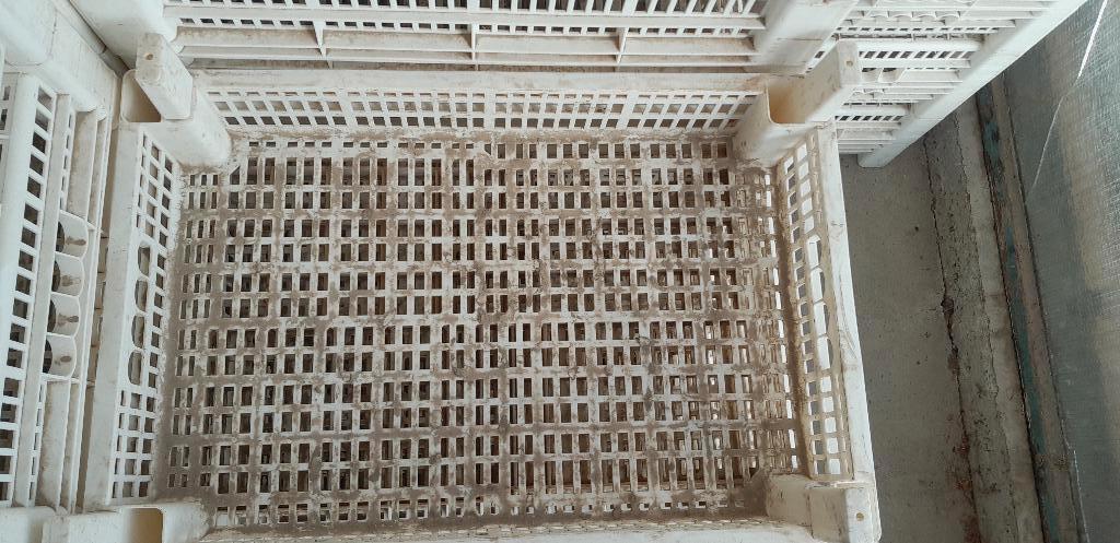 curver aardappel voorkiembak, Ophalen, Gebruikt