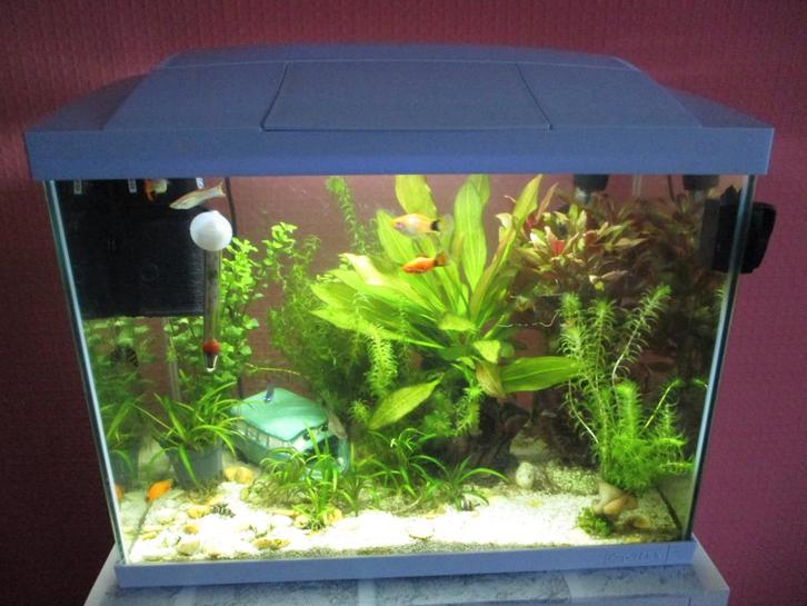 Compleet aquarium 45 liter., Dieren en Toebehoren, Vissen | Aquaria en Toebehoren, Zo goed als nieuw, Gevuld zoetwateraquarium