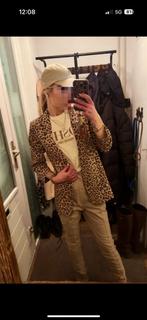 JOSH V shirt en pantalon maat xs 34 beige zomer merk, Ophalen, Zo goed als nieuw, Maat 34 (XS) of kleiner, Beige