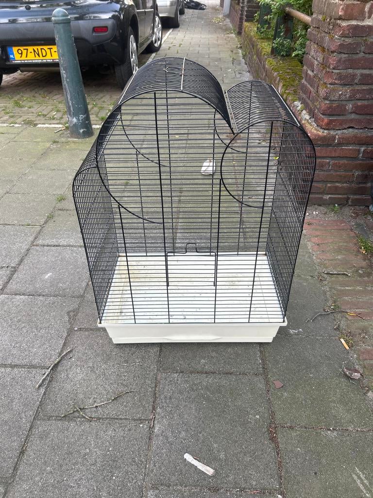Mooie vogelkooi, Dieren en Toebehoren, Ophalen, Zo goed als nieuw, Kooi-accessoires