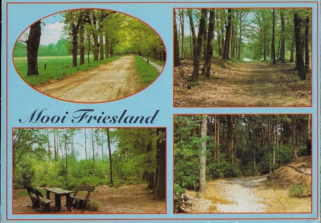 Ch275 ongelopen ansichtkaart mooi friesland, Verzamelen, Ansichtkaarten | Nederland, Ophalen of Verzenden, 1980 tot heden, Ongelopen