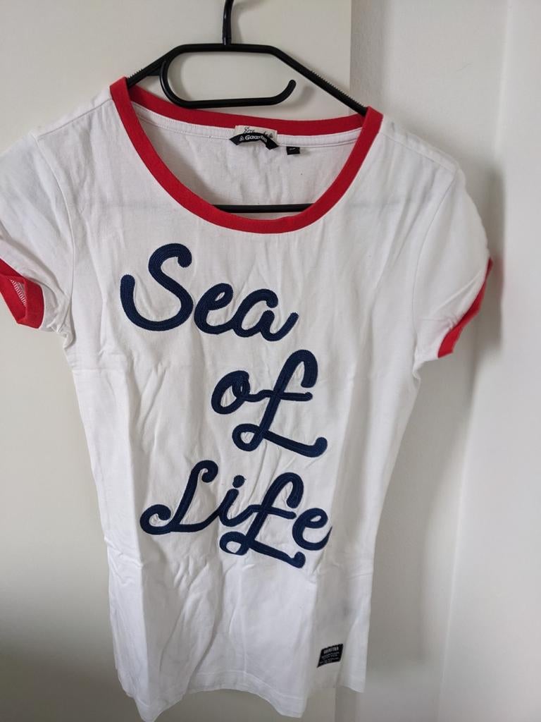 Gaastra wit shirt Maat L, Kleding | Dames, T-shirts, Maat 38/40 (M), Gaastra, Wit, Ophalen of Verzenden