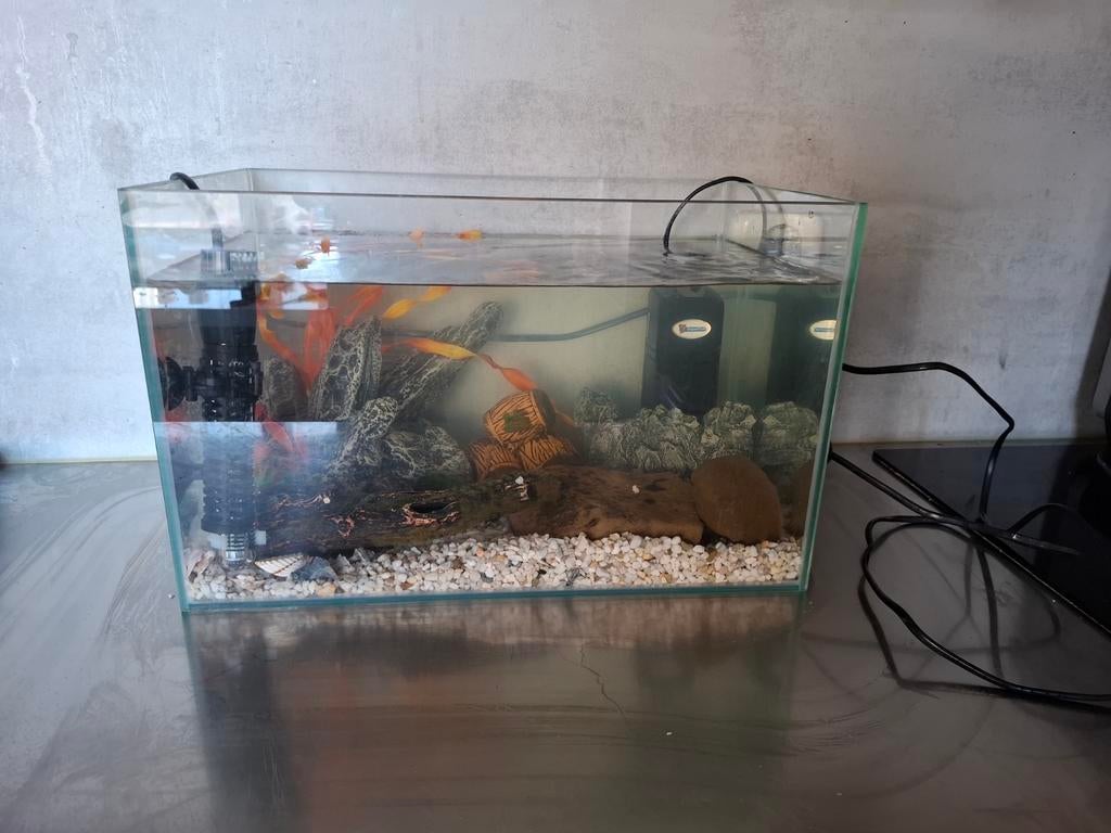 Aquarium, Ophalen, Inclusief toebehoren, Aquariummeubel
