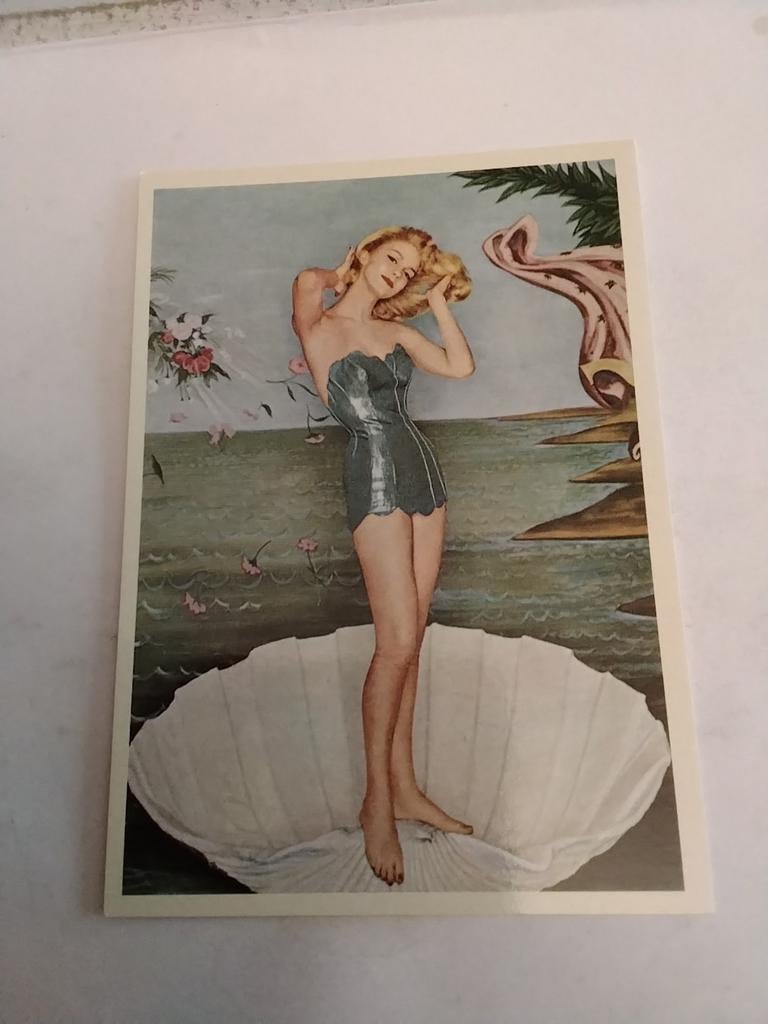 PIN UP. GIRL / ansichtkaart, Verzamelen, Ophalen of Verzenden, 1960 tot 1980, Overige thema's