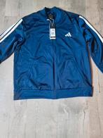 Trainingspak Adidas dames maat L nieuw, Ophalen of Verzenden, Nieuw, Maat 38/40 (M), Overige typen