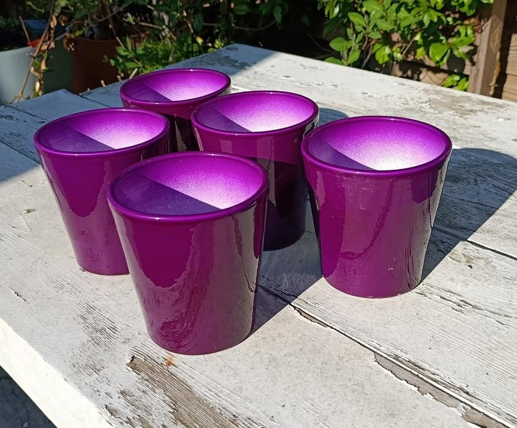 5x nieuwe paarse planten potten, Ophalen of Verzenden, Overige soorten, Volle zon