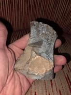 Hakbijl schaaf, Ophalen of Verzenden