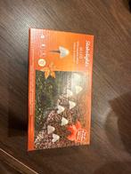 Nieuwe paddestoel lampjes voor binnen en buiten, Kunststof, Minder dan 50 watt, Overige typen, Ophalen of Verzenden