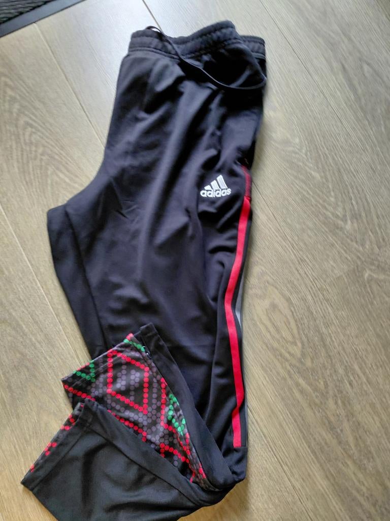 Ajax, Kleding | Dames, Sportkleding, Ophalen of Verzenden, Zo goed als nieuw, Maat 46/48 (XL) of groter, Overige typen