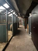 Kleinschalig stal heeft plek vrij, Stalling, 1 paard of pony