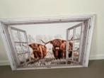 Canvas schotse hooglanders xl afhaal €15,-, Ophalen, Nieuw