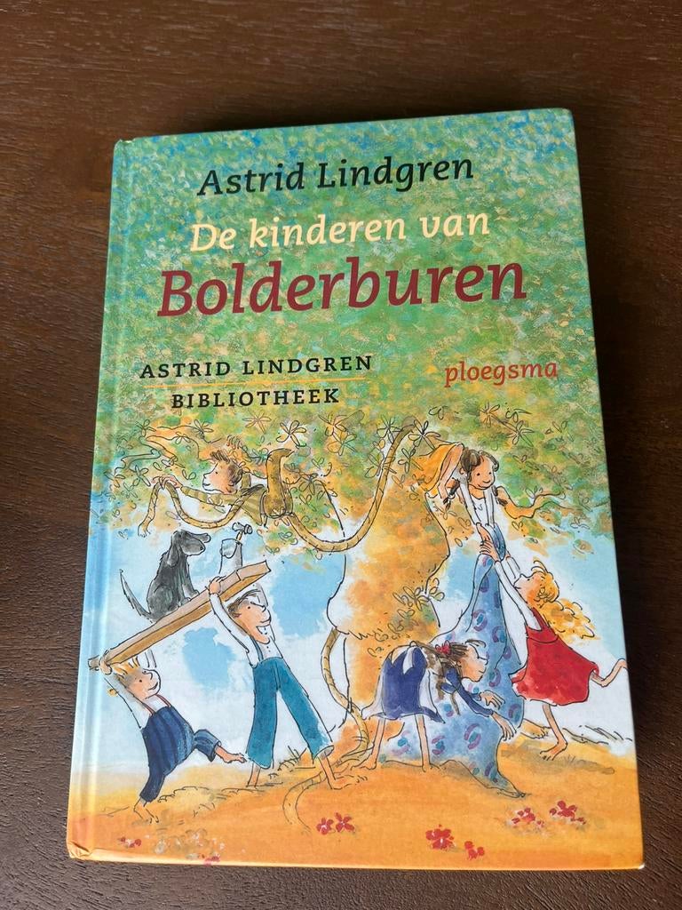 De kinderen van bolderburen, Boeken, Ophalen of Verzenden, Zo goed als nieuw