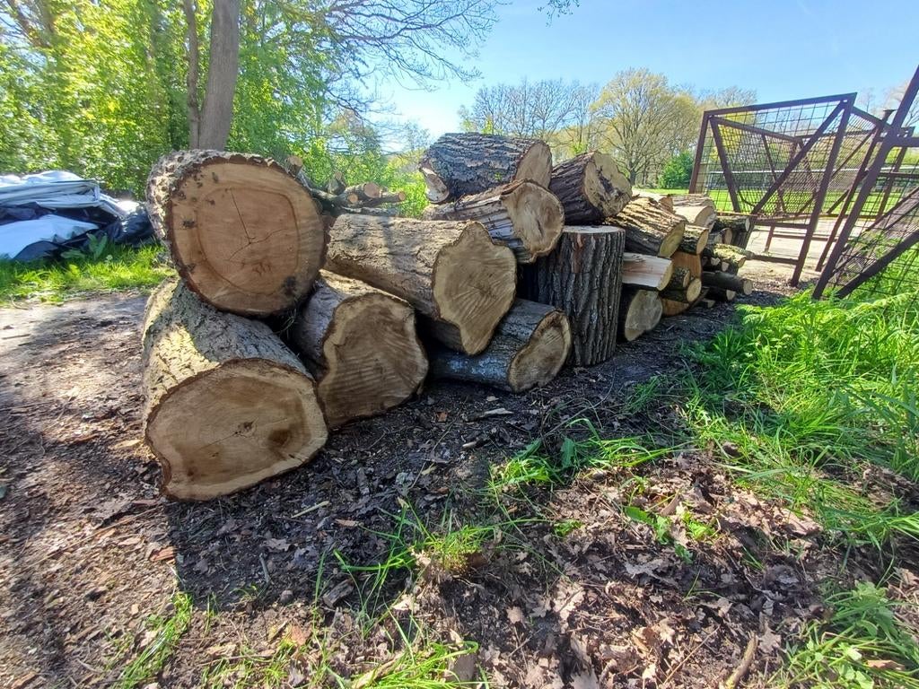 Vers brandhout haardhout stammen en blokken, Minder dan 3 m³, Ophalen