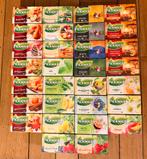 Pickwick thee,, Ophalen of Verzenden, Nieuw