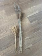 pluimen in een bosje / droogbloemen, Ophalen, Zo goed als nieuw