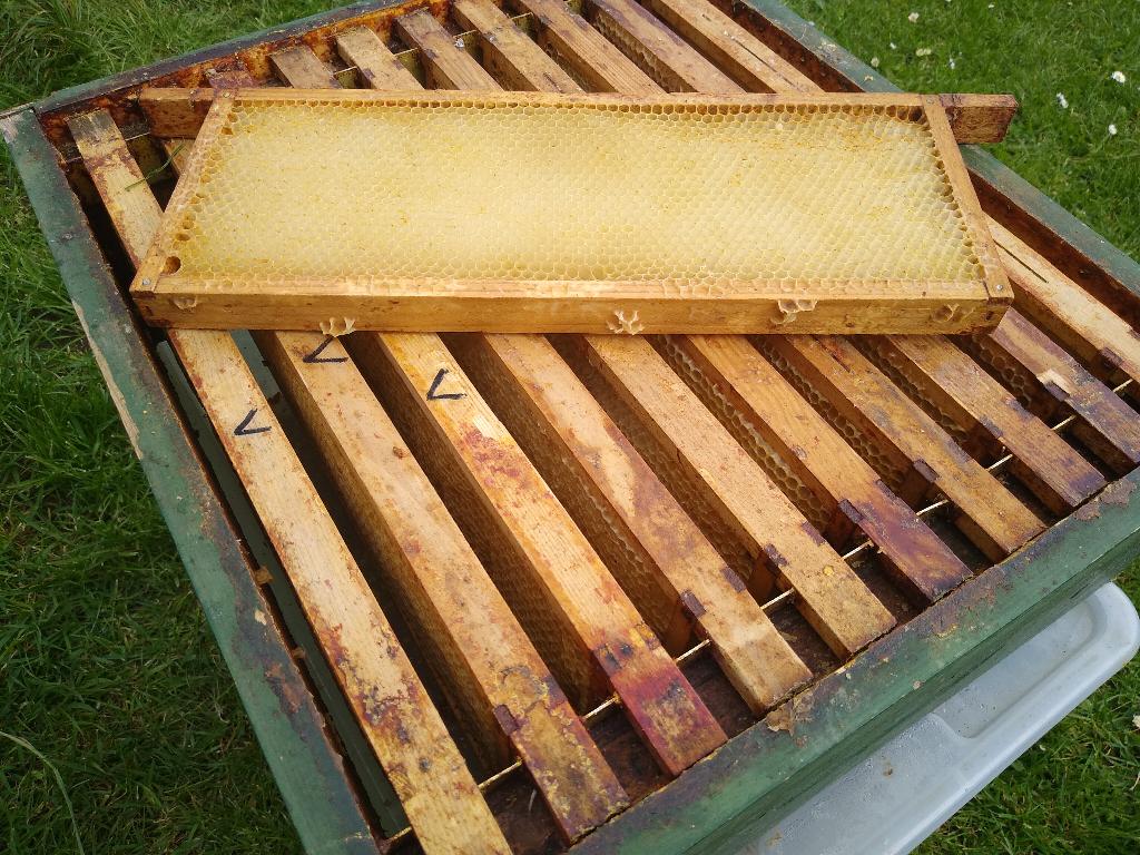 Uitgebouwde honingramen spaarkast, nog maar 10!, Ophalen of Verzenden