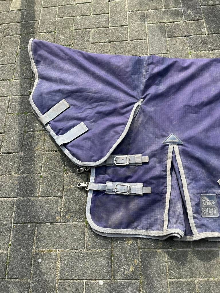 Harry’s horse 200 gram winterdeken regendeken ponydeken, Dieren en Toebehoren, Paarden en Pony's | Dekens en Dekjes, Ophalen of Verzenden