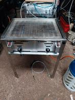Professionele RVS Gasbarbecue met 2 Branders, Ophalen of Verzenden, Gebruikt, Onbekend