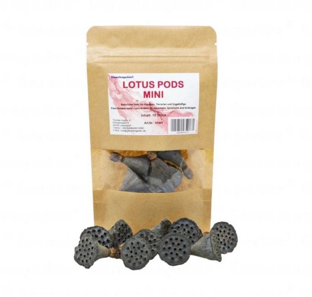 Garnelengarten Lotus pod mini | Garnalen voeding, -, -, Overige typen, Nieuw