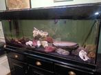 360 L ciclide aquarium, Ophalen, Gebruikt