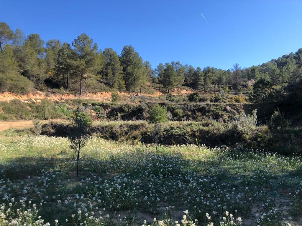 Grondstuk te koop met Bouwvergunning, Midden en Binnenland, In bergen of heuvels, Landelijk