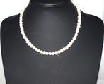 ketting van zoetwaterparels wit 43 cm lang,, Sieraden, Tassen en Uiterlijk, Kettingen, Ophalen of Verzenden, Nieuw, Wit, Steen of Mineraal