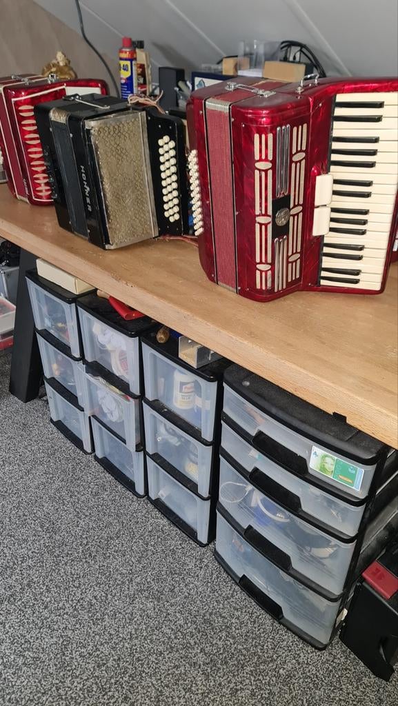 Playback accordeon met het nieuwe systeem, Muziek en Instrumenten, Accordeons, Ophalen of Verzenden, Nieuw, Overige merken, Met riemen