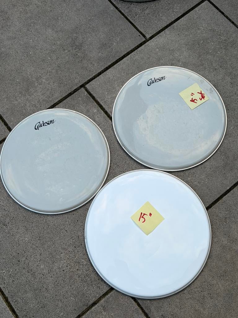 Timbale vellen, Ophalen, Gebruikt, Drums of Percussie