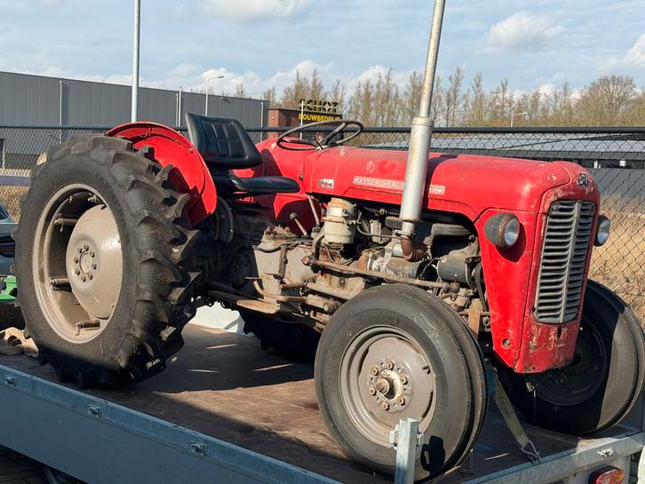 Massey Ferguson MF35 MF 35 (evt met schaaf) - Gereviseerd, Zakelijke goederen, Agrarisch | Tractoren, tot 2500, Massey Ferguson