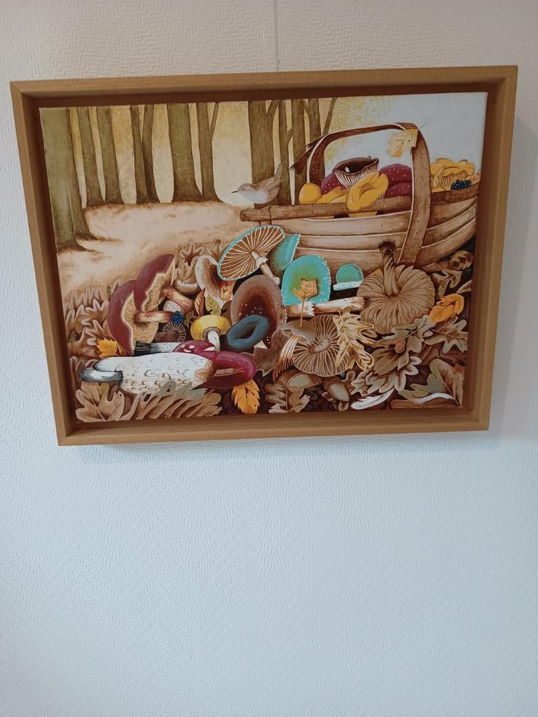 Paddenstoelen., Ophalen of Verzenden