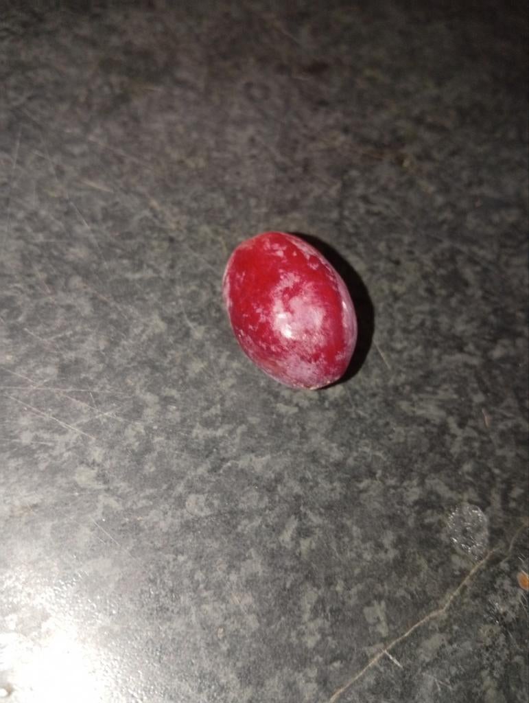 N druif, 33 - 40 uur, Overige niveaus, Overige vormen