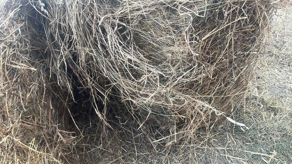 Midibalen, Dieren en Toebehoren, Dierenvoeding, Ophalen of Verzenden, Vee