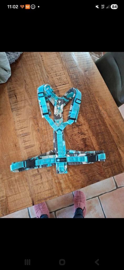 Anny x, xl korte rug limited edition, Dieren en Toebehoren, Ophalen of Verzenden