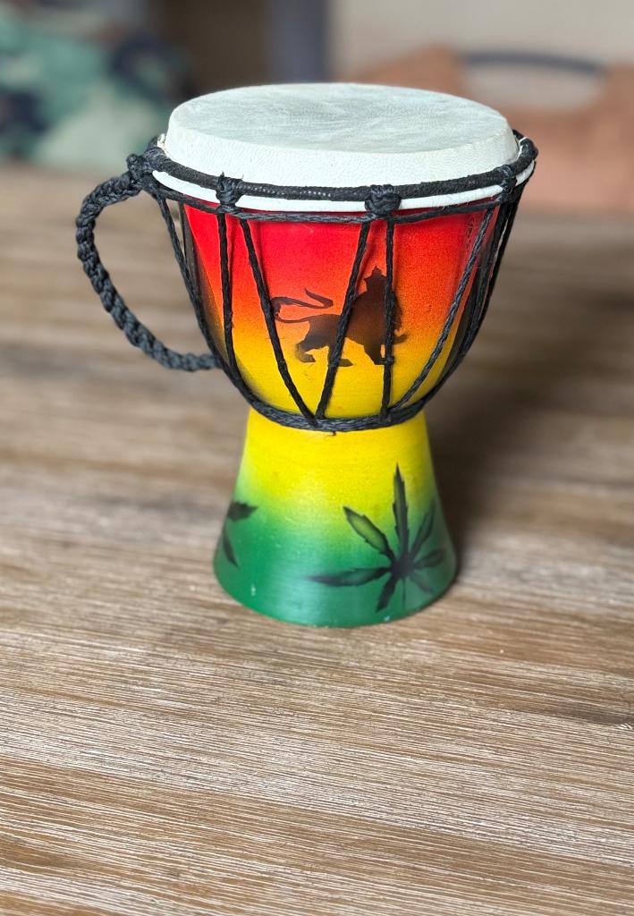 Djembe/ bongo trommel, 20 cm - in topstaat, Muziek en Instrumenten, Drumstellen en Slagwerk, Ophalen of Verzenden, Gebruikt, Overige merken