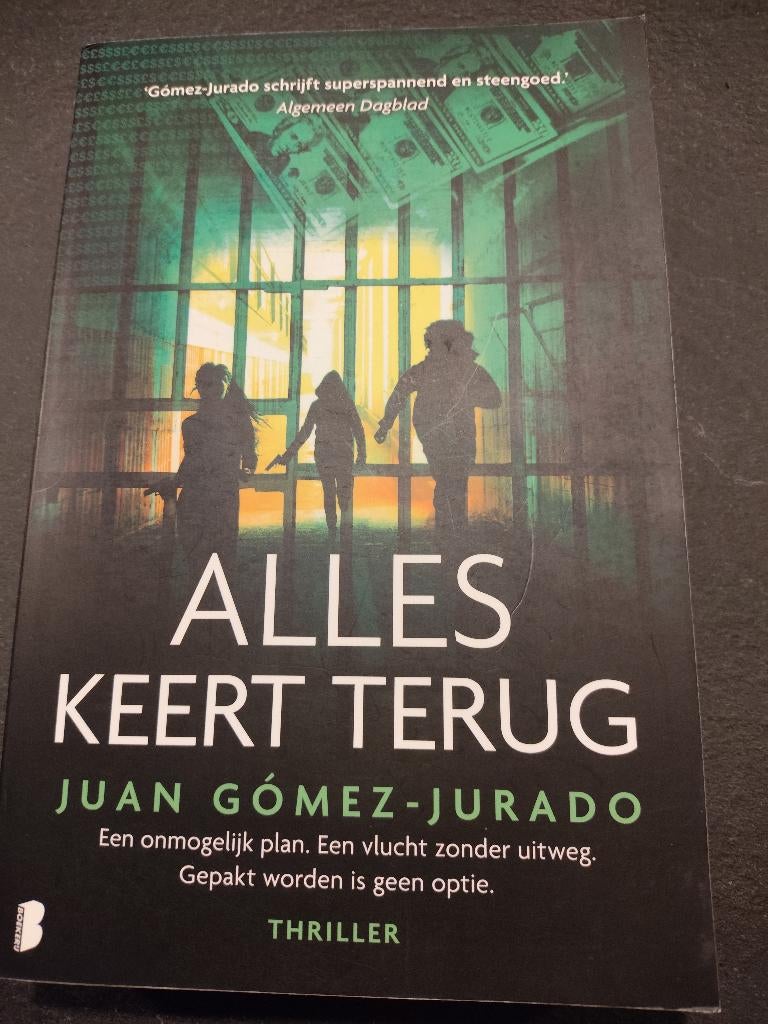 Juan Gómez-Jurado Alles keert terug in nette staat, Boeken, Ophalen of Verzenden, Zo goed als nieuw