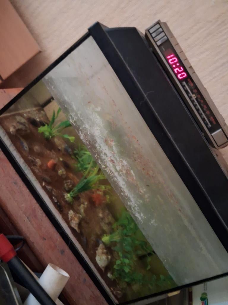 Aquarium 50x40, Ophalen of Verzenden, Gebruikt, 22 inch, Alpina Trial