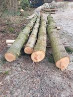 4x stamhout naaldbomen (spar), Tuin en Terras, Haardhout, 3 tot 6 m³, Ophalen, Overige houtsoorten, Stammen