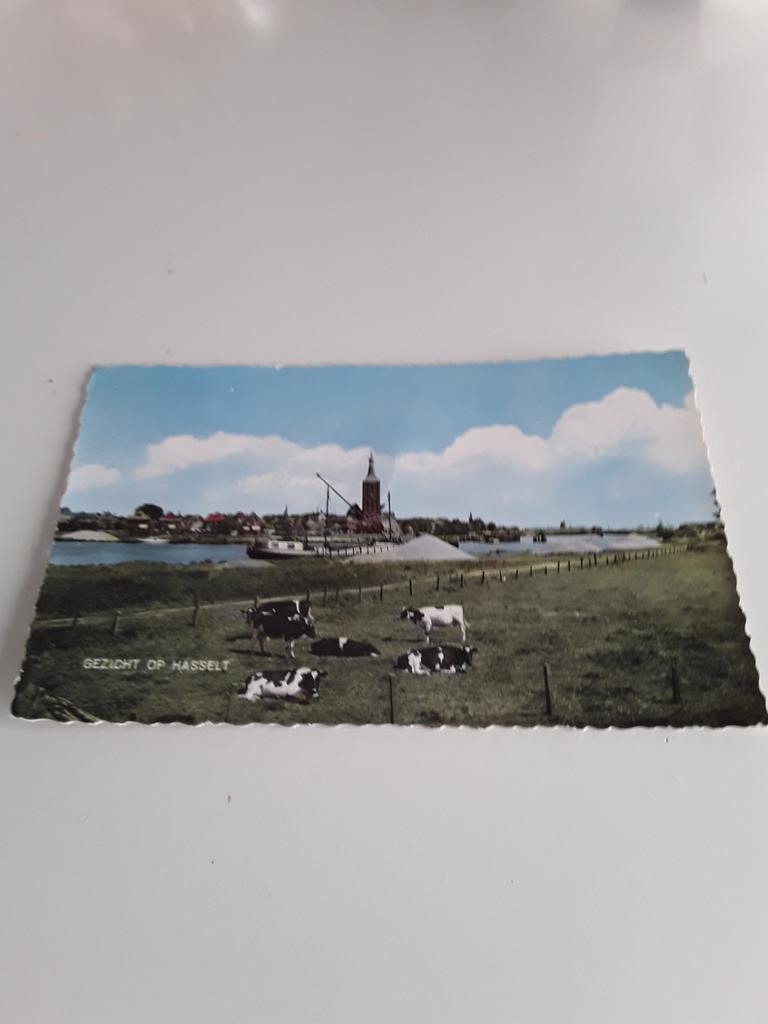 Hasselt, Ophalen of Verzenden, Gelopen