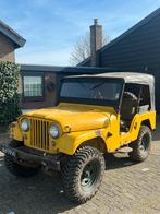Ford Willys Jeep do Brasil 1964, Particulier, Te koop