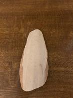 Sepia, natuurlijke calcium bron voor slakken, Slak of Weekdier