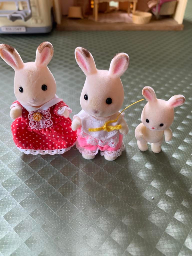 Sylvanian konijntjes, Ophalen of Verzenden, Zo goed als nieuw